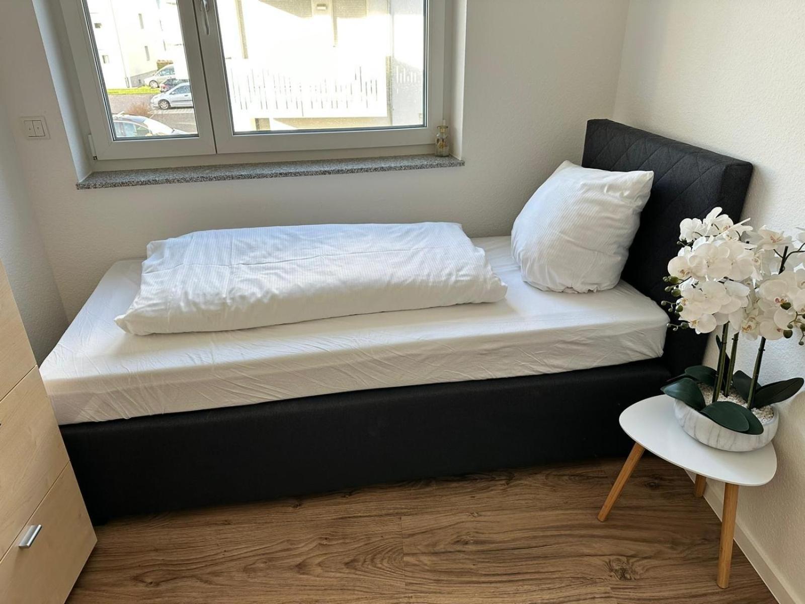 Grosse Cozy 4-Zi-Whg Mit Balkon Naehe Europa Park Und Rulantica Lahr (Baden-Wurttemberg) Exterior foto